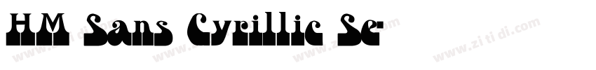HM Sans Cyrillic Se字体转换
